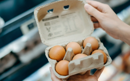 Người dân Mỹ đau đầu vì giá trứng tăng mạnh, phong trào nuôi gà "tự cung tự cấp" nở rộ
