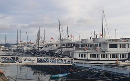 Số liệu khách du lịch Quảng Ninh được thống kê theo kiểu bốc thuốc?