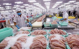 Một loại thủy sản Việt Nam được Mỹ công nhận trình độ sản xuất tương đương nền kinh tế lớn nhất thế giới