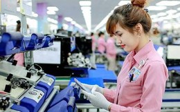 4 nhà máy Samsung tại Việt Nam đem về hơn 71 tỷ USD doanh thu, Samsung Display gây bất ngờ