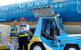 Doanh nghiệp có nhân viên phát ngôn “đại hội xe lăn” kinh doanh thế nào?