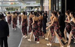 6 nghệ sĩ nổi tiếng tham gia vụ 170 cô gái hầu tiệc rượu giới xã hội đen