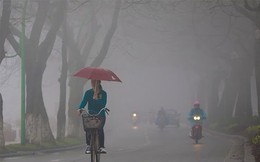 Từ tối nay, miền Bắc chuyển mưa phùn