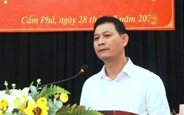 Một chủ tịch phường bị bắt vì 'bảo kê' nuôi trồng thủy sản trên vịnh Bái Tử Long