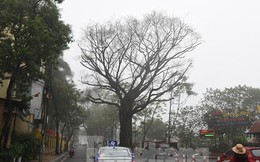Miền Bắc âm u, sương mù đến bao giờ?