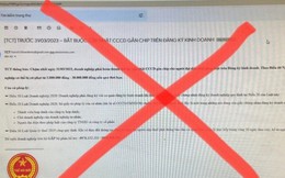 Tổng cục Thuế cảnh báo lừa đảo cập nhật CCCD và mất phí hàng triệu đồng