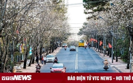 Du lịch Đà Lạt mùa nào đẹp nhất ?