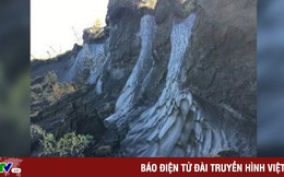 "Virus xác sống" được hồi sinh thành công sau 48.500 năm ở trong băng tuyết vĩnh cửu