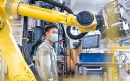 "Trước đây nhận đơn đặt hàng 10 tỷ USD thì giờ chỉ còn 8 tỷ, 2 tỷ chảy sang Việt Nam": Địa phương giàu nhất Trung Quốc mất nhiều việc làm vì các nhà máy dịch chuyển