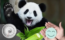Công việc 'khó nhằn' nhất Trung Quốc: Cả trăm người ứng tuyển nhưng không chọn được ai