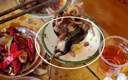 Ăn gần hết nồi lẩu phát hiện chuột chết bên trong, thực khách gọi cảnh sát