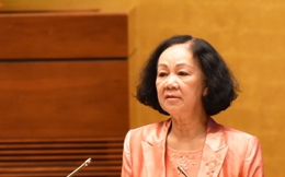 Bà Trương Thị Mai được phân công giữ chức Thường trực Ban Bí thư khoá XIII