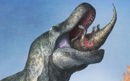 Phát hiện sốc về “quái vật mỉm cười” 66 triệu năm trước