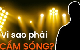 Vì sao cần thiết có quy định cấm sóng, cấm biểu diễn với nghệ sĩ Việt?