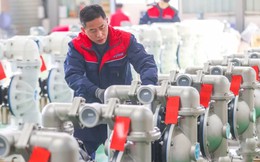 "Cứu" chuỗi cung ứng, công ty Trung Quốc tìm đường ra khỏi đại lục: Những công ty nào sẽ đến Việt Nam?