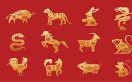 Tử vi tuần mới 12 con giáp từ 24-30/4: Sửu, Tỵ nhân duyên tốt đẹp