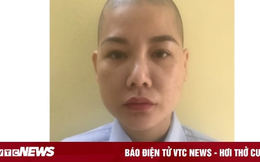 Khởi tố nữ quái mạo danh cán bộ từng công tác tại Bộ Công an để lừa đảo chạy án