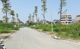 Nhiều khu vực ven Hà Nội chuẩn bị đấu giá hơn 100 lô đất, giá khởi chỉ từ hơn 6 triệu đồng/m2