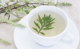 3 loại cây 'thảo dược', hiệu quả điều trị đau đầu do thay đổi thời tiết