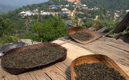 Trung Quốc mạnh tay nhập khẩu mặt hàng này từ Việt Nam dù sở hữu diện tích trồng lớn gấp 14 lần, giá xuất khẩu tăng hơn 100%