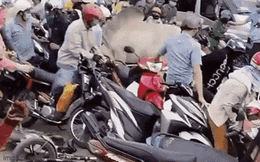 CLIP: Kinh hoàng con bò đốn hạ nhiều người và xe máy ở Đồng Nai