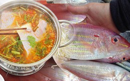 Ra khơi đánh bắt cá lưỡng hồng, chế biến thành những món ngon tuyệt hảo