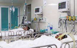 Bố tử vong, 2 con nguy kịch sau cuộc nhậu rượu ngâm