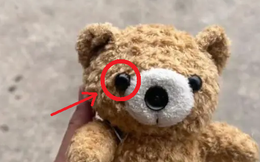 ‏Mua gấu bông cũ về nhà, 3 tháng sau cô gái phát hiện thứ đáng sợ bên trong con gấu‏