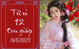 Tử vi vui 12 con giáp hôm nay ngày 20/5/2023: Ngọ thành công, Hợi hạnh phúc