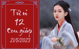 Tử vi vui 12 con giáp hôm nay ngày 21/5/2023: Mùi lo lắng, Thân hạnh phúc