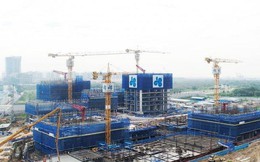 Xuất hiện bộ đôi cổ đông chiến lược "chơi lớn" tại Xây dựng Hòa Bình: Mua mới lượng cổ phiếu đúng bằng sở hữu của Chủ tịch Lê Viết Hải, với giá cao gấp rưỡi thị trường