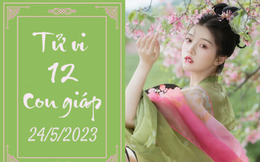 Tử vi vui 12 con giáp hôm nay ngày 24/5/2023: Thân kín đáo, Mùi cân bằng