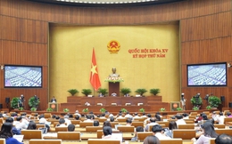 Kiểm toán Nhà nước kiến nghị xử lý 1.444 tổ chức, 2.735 cá nhân