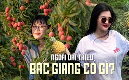 Một nơi được mệnh danh "vựa trái cây" miền Bắc, chỉ tốn 3 tiếng đi từ Hà Nội, thích hợp đưa gia đình đi vào mùa hè này