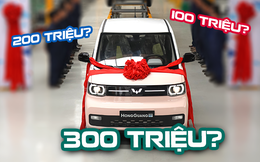 Xe điện mini bùng nổ với Wuling, VinFast?