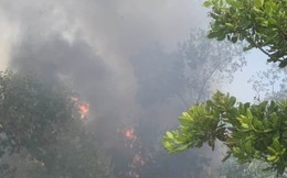Cháy hơn 20 hecta rừng phòng hộ Pacsa ở Quảng Nam