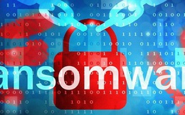 Cảnh báo: Hơn 77.000 máy tính tại Việt Nam bị mã hóa dữ liệu tống tiền