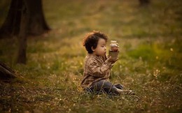 Nuôi dạy bé trai giống như trồng cây, cha mẹ cần “chăm bón 6 loại dưỡng chất” này