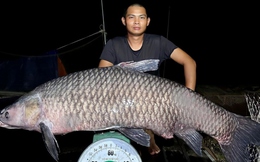Cần thủ ở Nghệ An chinh phục “thủy quái” nặng hơn 40kg ở đập thủy lợi