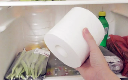 Vì sao nên đặt giấy cuộn vào tủ lạnh?