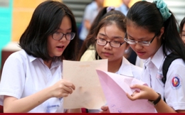 Sốc: Học bạ xét tuyển lớp 6 đẹp như mơ vẫn bị trường Amsterdam 'loại từ vòng gửi xe'
