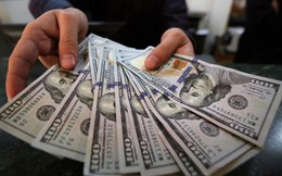 Kinh tế 5 tháng 2023: Đã tìm thấy ‘ngôi sao’ mang về chục tỷ USD, tăng gần 4.000%