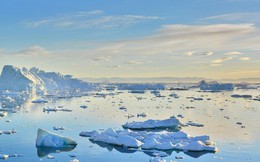 Băng tại Bắc Cực biến mất vào năm 2030?
