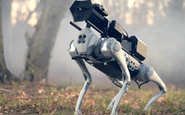 Thermonator - Chó robot phun lửa đầu tiên trên thế giới