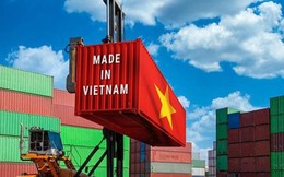 Loạt 'ông lớn' trong lĩnh vực gây sốt toàn cầu kéo tới: Việt Nam bứt phá thành cứ điểm chiến lược, thu hút đầu tư kỷ lục