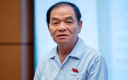 ĐBQH Lê Thanh Vân đề nghị Chính phủ thanh tra đặc biệt EVN