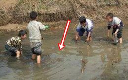 Đi bắt cá 4 học sinh nhặt được vật lạ màu vàng khiến cảnh sát phải tìm đến tận nơi