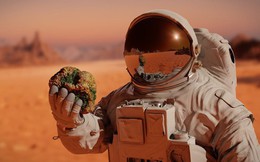 NASA đã từng phát hiện sự sống trên sao Hỏa nhưng vô tình tiêu hủy?