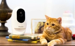 Lắp camera có thể giúp bảo đảm an ninh, nhưng vẫn có những vị trí nên tránh?