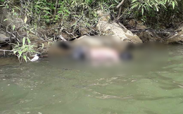 Phát hiện 2 thi thể tại tỉnh Quảng Nam
